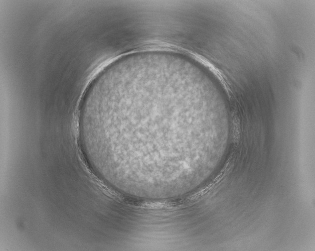 X0000115531415200912181517