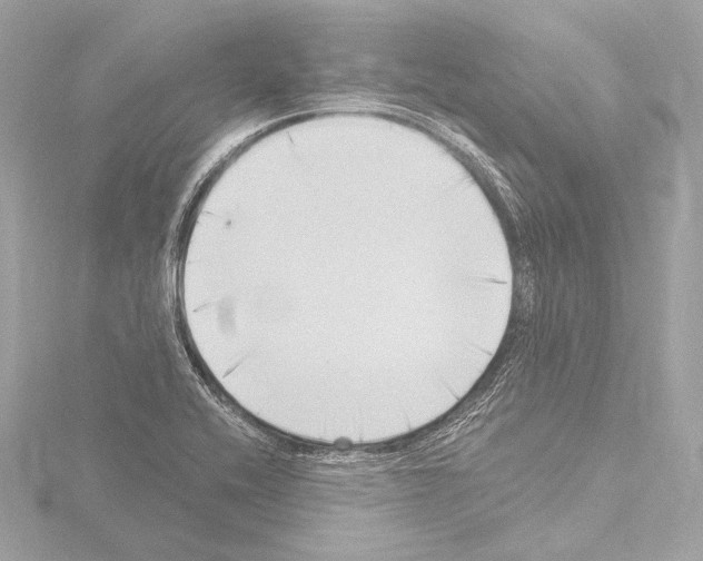 X0000115531416200912181517