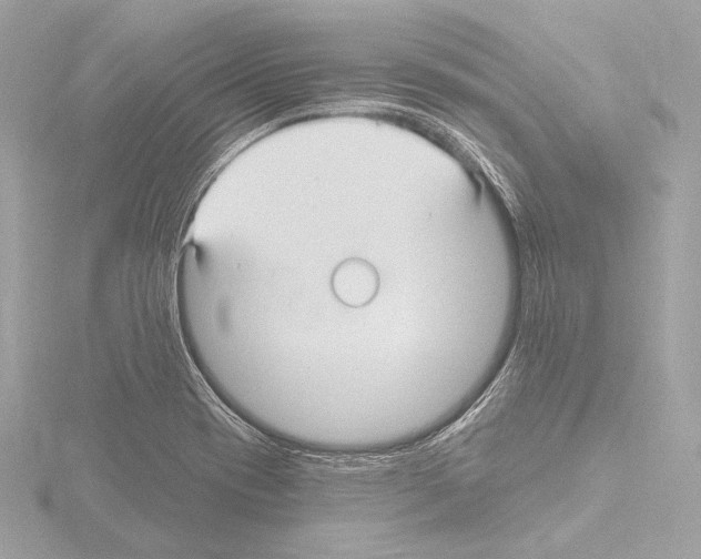 X0000115531417200912181518