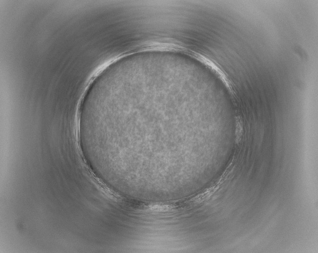 X0000115531419200912181518