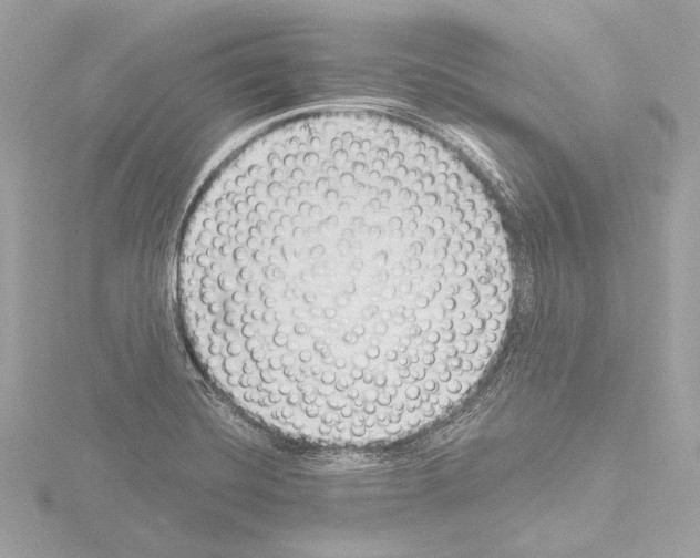 X0000115531420200912181518