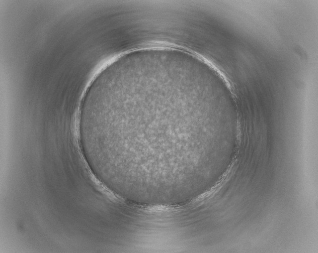 X0000115531421200912181518