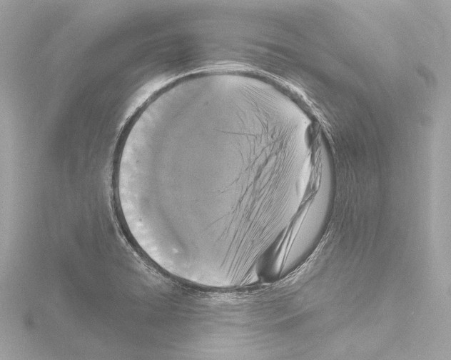 X0000115531422200912181518