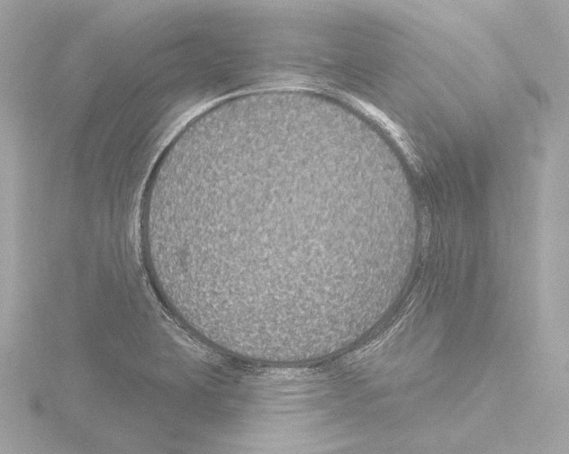 X0000115531423200912181518