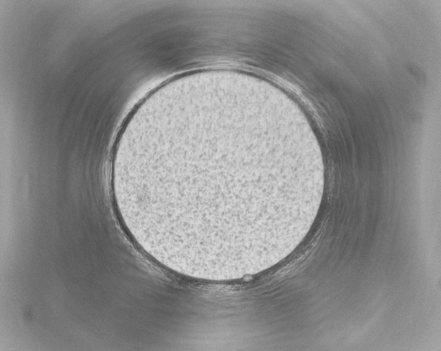 X0000115531424200912181518