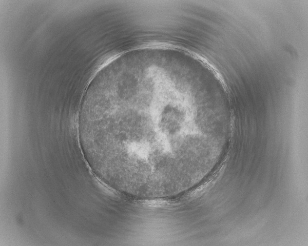 X0000115531425200912181518