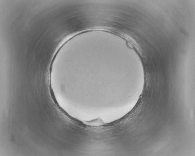 X0000115531428200912181518