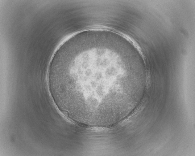 X0000115531429200912181518