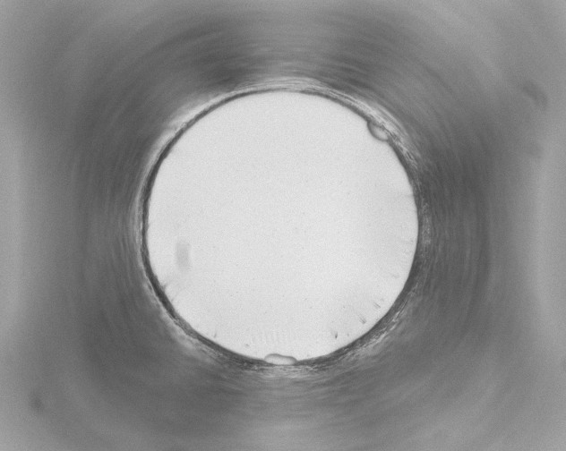 X0000115531430200912181518