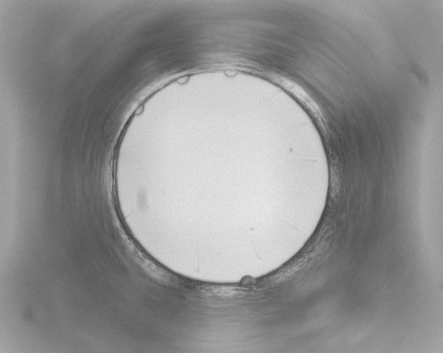 X0000115531431200912181518