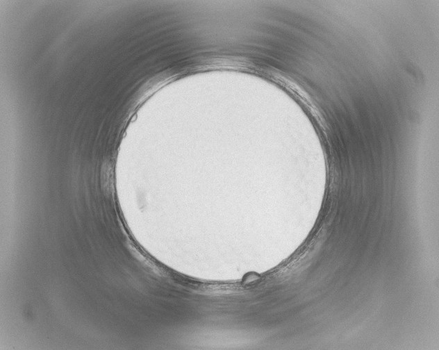 X0000115531433200912181518