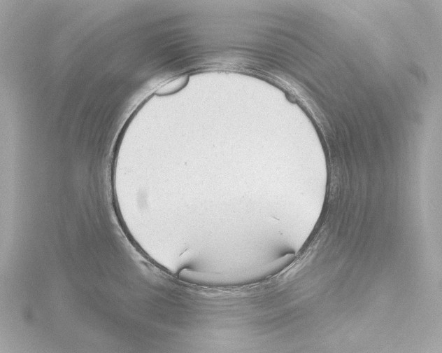 X0000115531434200912181518