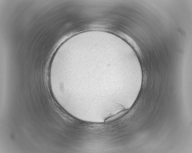 X0000115531435200912181518