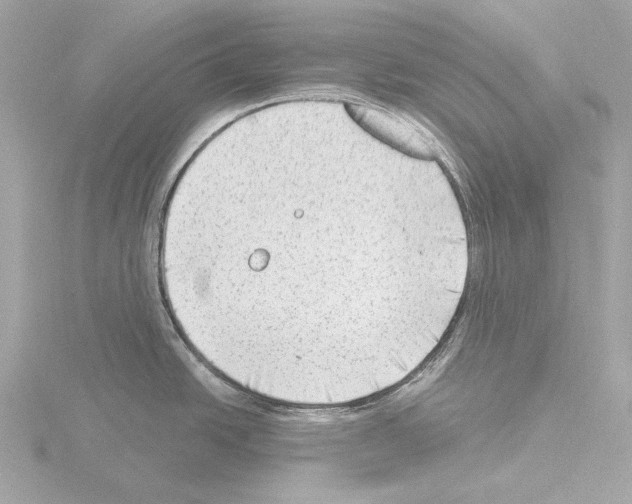 X0000115531438200912181518