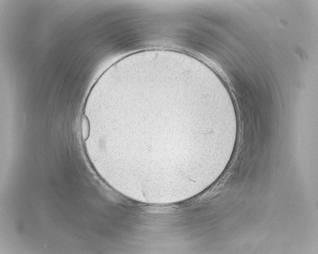 X0000115531440200912181518