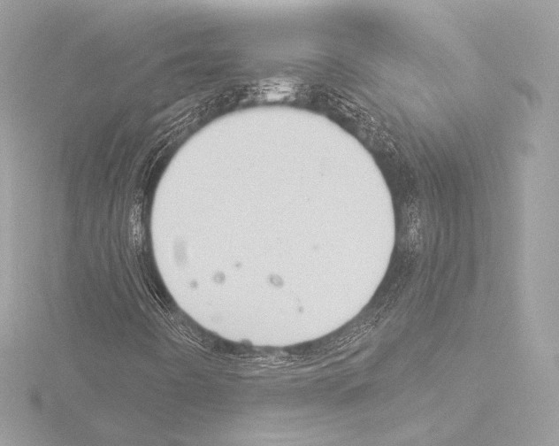 X0000115531442200912181517