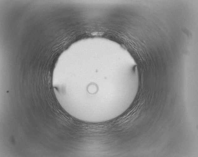 X0000115531443200912181517