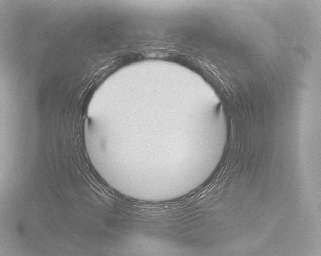 X0000115531444200912181517