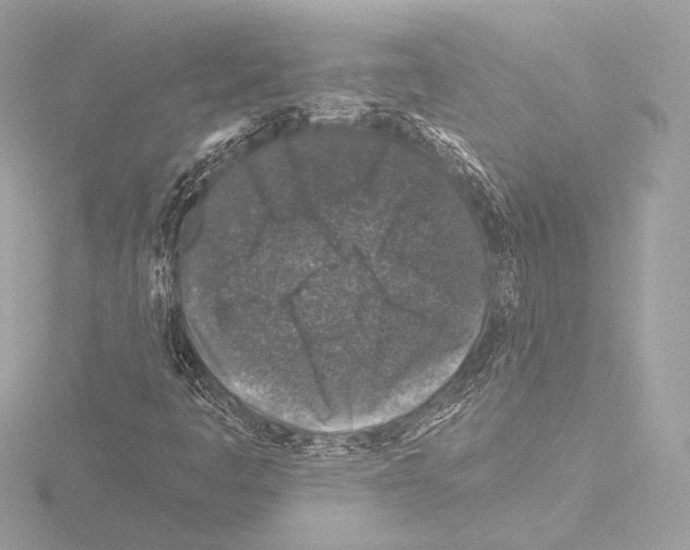 X0000115531445200912181517