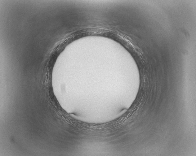 X0000115531447200912181517