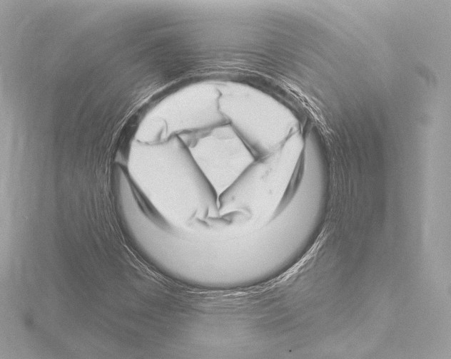 X0000115531449200912181517