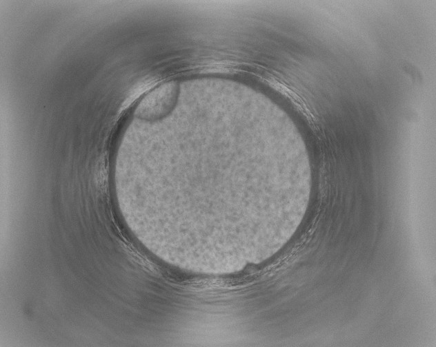 X0000115531450200912181517