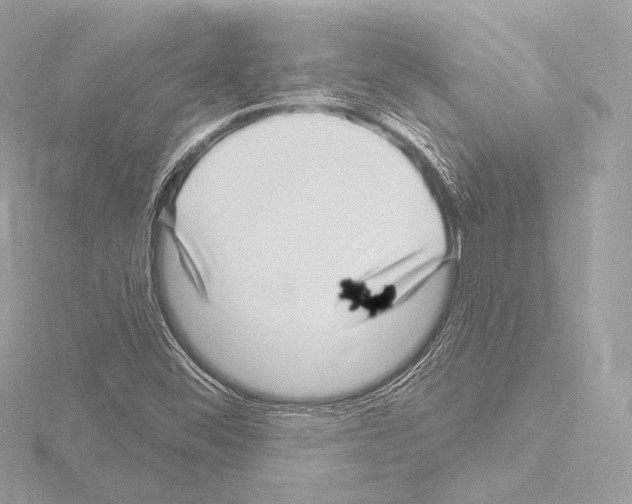 X0000115531452200912181517