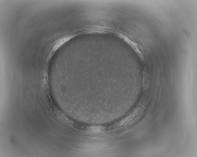 X0000115531453200912181517