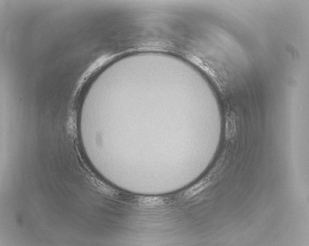 X0000115531454200912181517