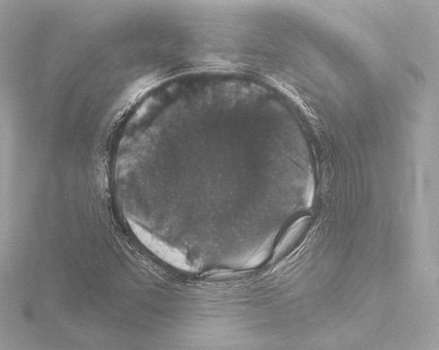 X0000115531455200912181517