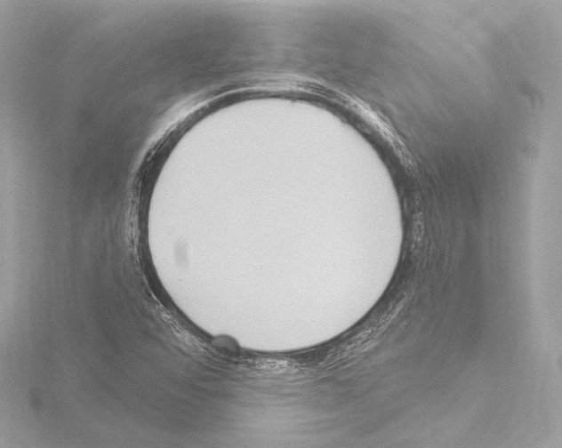 X0000115531456200912181517