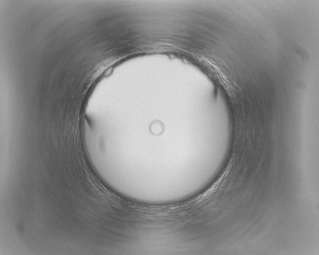 X0000115531457200912181517