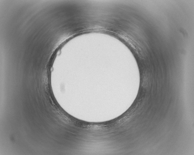 X0000115531458200912181517