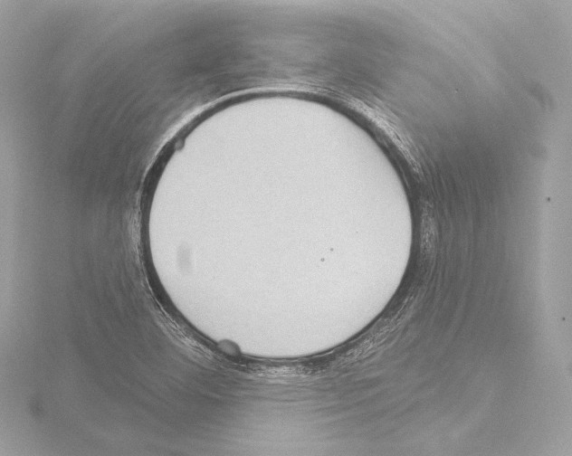 X0000115531460200912181517