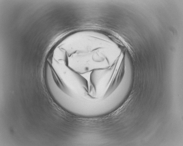 X0000115531461200912181517