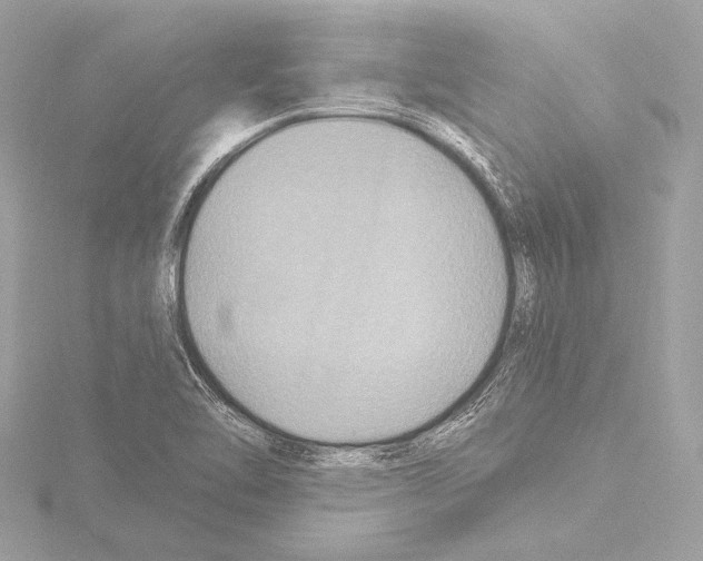 X0000115531462200912181517