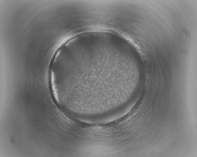 X0000115531463200912181517