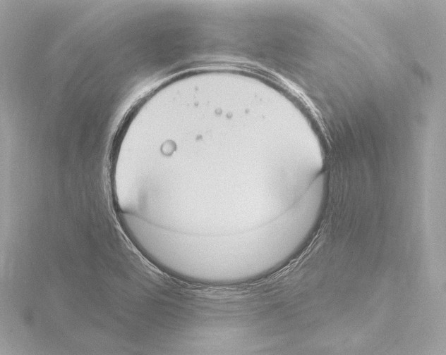 X0000115531464200912181517