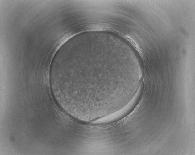 X0000115531465200912181517