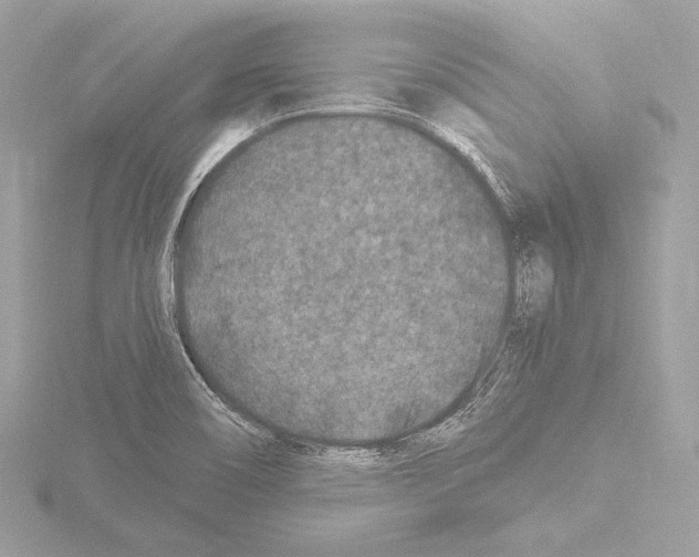 X0000115531466200912181517