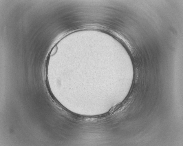 X0000115531467200912181517