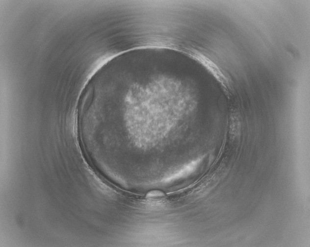 X0000115531468200912181517