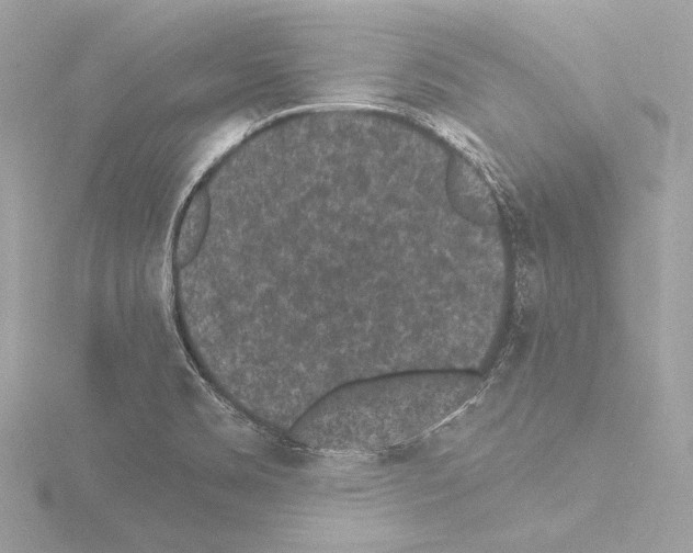 X0000115531469200912181517