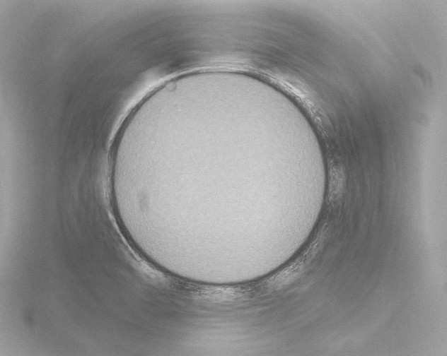 X0000115531470200912181517