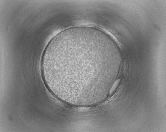 X0000115531471200912181517