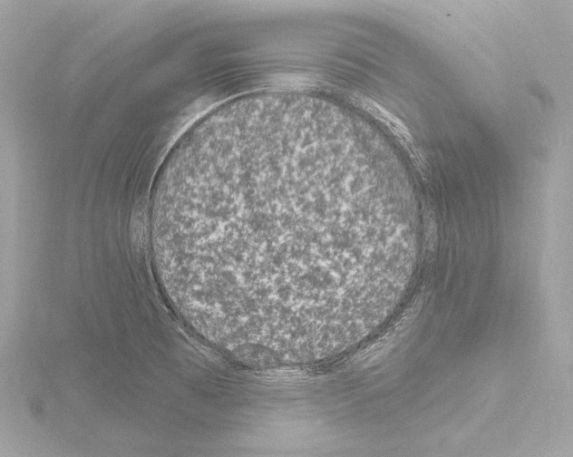 X0000115531473200912181517