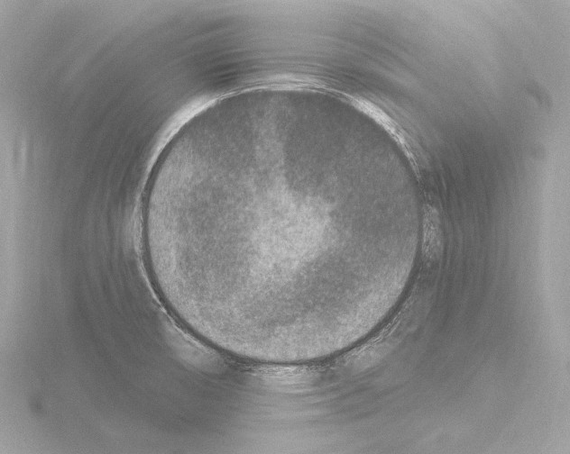 X0000115531474200912181517