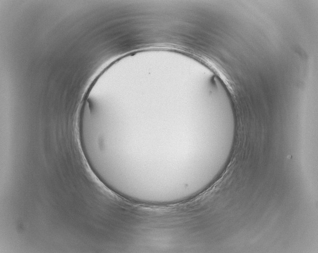 X0000115531476200912181517