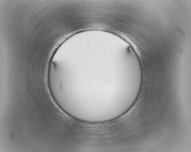 X0000115531477200912181517