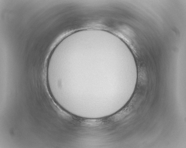 X0000115531478200912181517